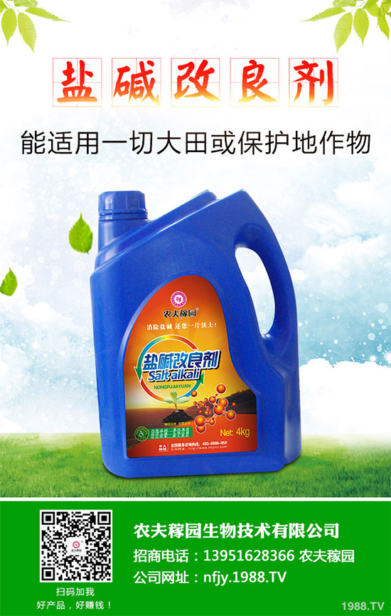 什么是蔓荊子？蔓荊子的功效作用及用法禁忌