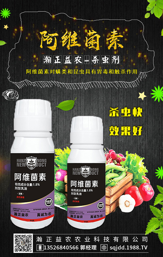 �׷�������ʩ����������Щ��������֪����������