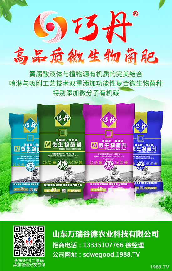 ؕ������Щ���湦Ч��ؕ�ջ��Ĺ�Ч�����c����