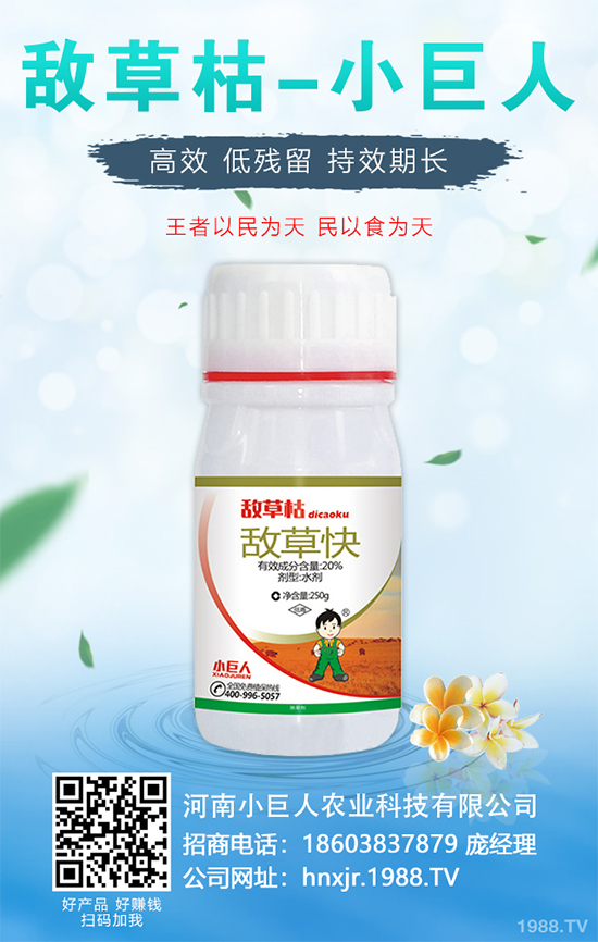 �o�����Nֲ������ô��������܌��F(xi��n)�Nֲ�߮a(ch��n)��