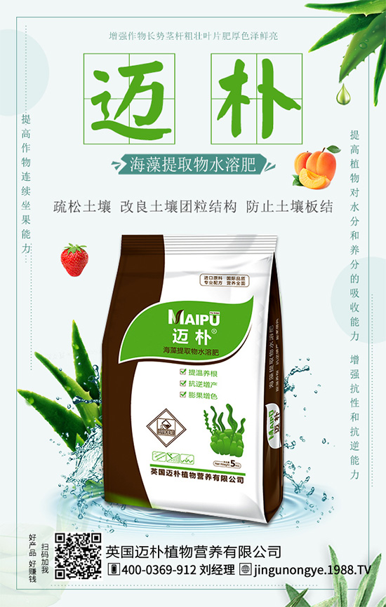 �Ը�����ʲô��̎�����ٵĠI(y��ng)�B(y��ng)�r(ji��)ֵ��