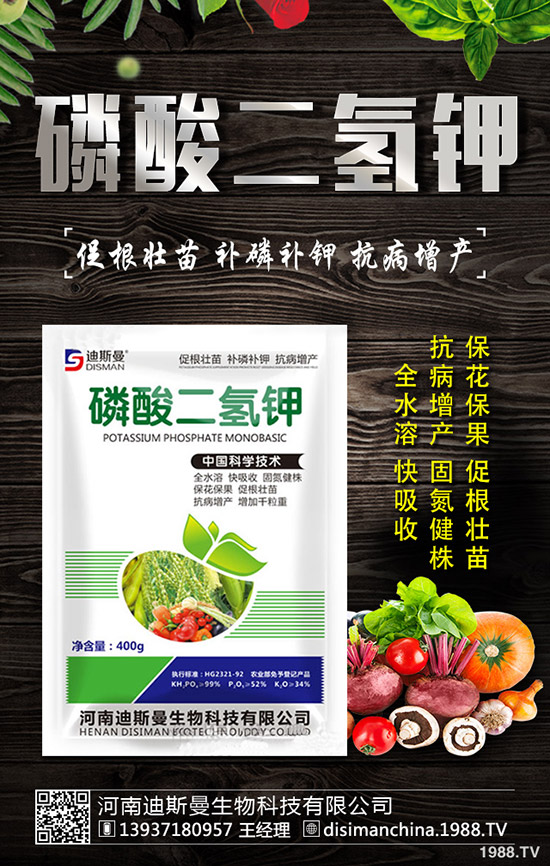 ������ô�Nֲ�������Nֲ�������ճ�����������