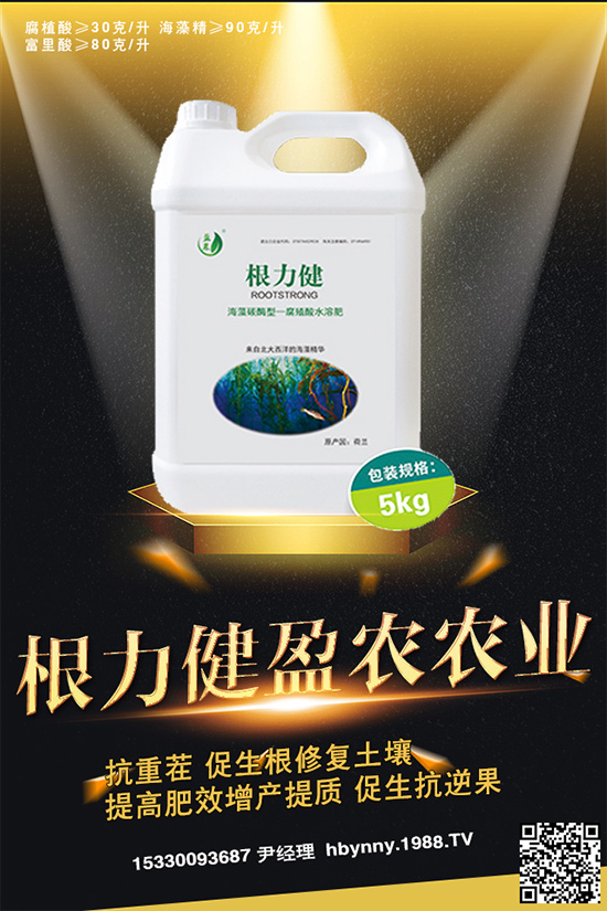     ������ȥ�������_�����_���Ϸ���ע�⡰���ɡ�