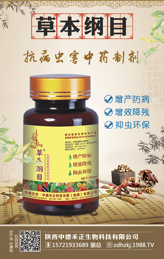 ��ָë�ҷNֲЧ�� ��ָë�ҷNֲǰ��