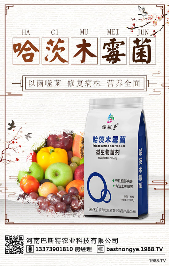 �������鼴������������⛷ʃr�������A�y2019-12-20