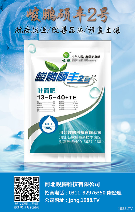 ����Ҫ�q�����ڇ�(gu��)��(n��i)�Ј�(ch��ng)���؃r(ji��)�������߄�(sh��)����2019-12-20