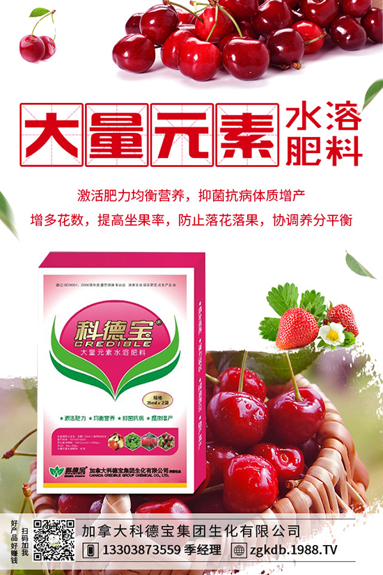 2019-12-21���؃r������ӑB(t��i)�������Xһ����