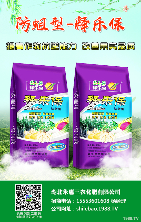 ���@�r(ji��)��Ҫ�q�������؅^(q��)���@���S��(b��o)�r(ji��)һ�[2019-12-21