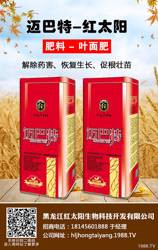 ⛷ʃr(ji��)���ǝq�ǵ���2019-12-21����(n��i)����⛷ʃr(ji��)���߄ݷ���