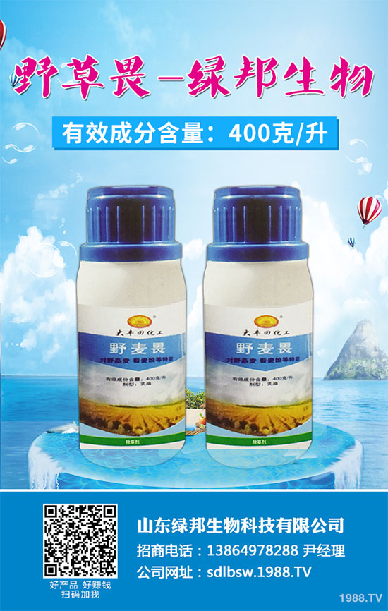 2019-12-21���݄��r�������߄��A�y