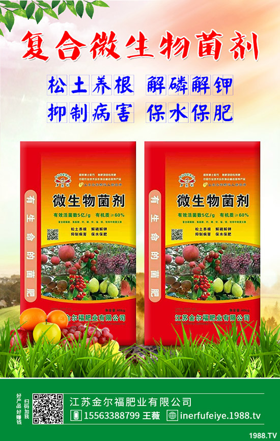     2019��12��23�����؃r(ji��)��������������ո��؅^(q��)�����������S��(b��o)�r(ji��)��