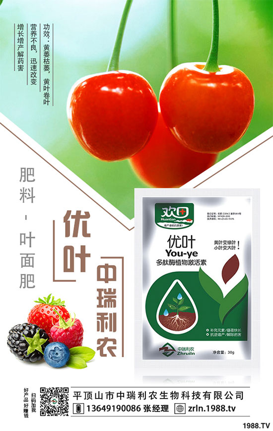 ��乽�����༼�g(sh��)����乽�ķNֲע�������