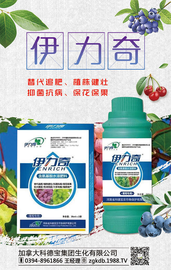     �R�����P(gu��n)�����@�����Ƿ��ϸ���2020����@�r(ji��)�������߄�(sh��)�A(y��)�y(c��)��