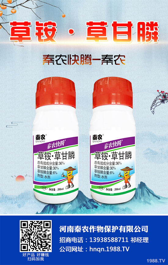 Prentiss������������(ch��ng)�s�ݳ��݄�Camp-D ��2��4-D�Ͱ��������