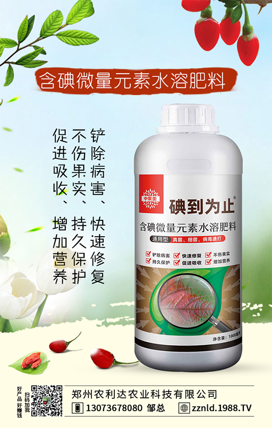 �t�}����ι��������S�գ�����ƌW�����҂�֪������