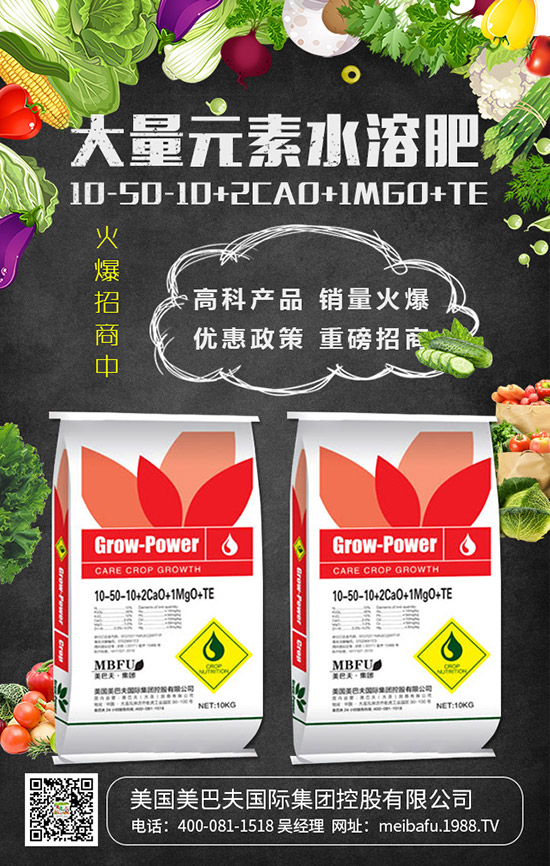     2019���������@��������r��C�Ϸ��������