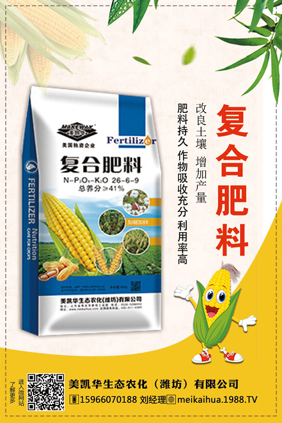     2019�������һ�@��������r(ji��)��C�Ϸ�����(b��o)����