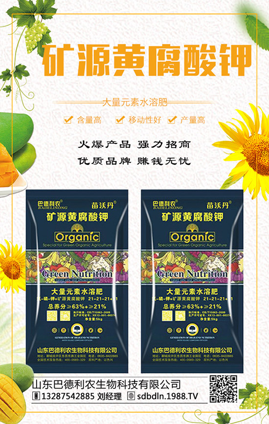     ��(f��)�Ϸ�����q�����F(xi��n)��2019��12��ĩ���r���߄��A(y��)�y��