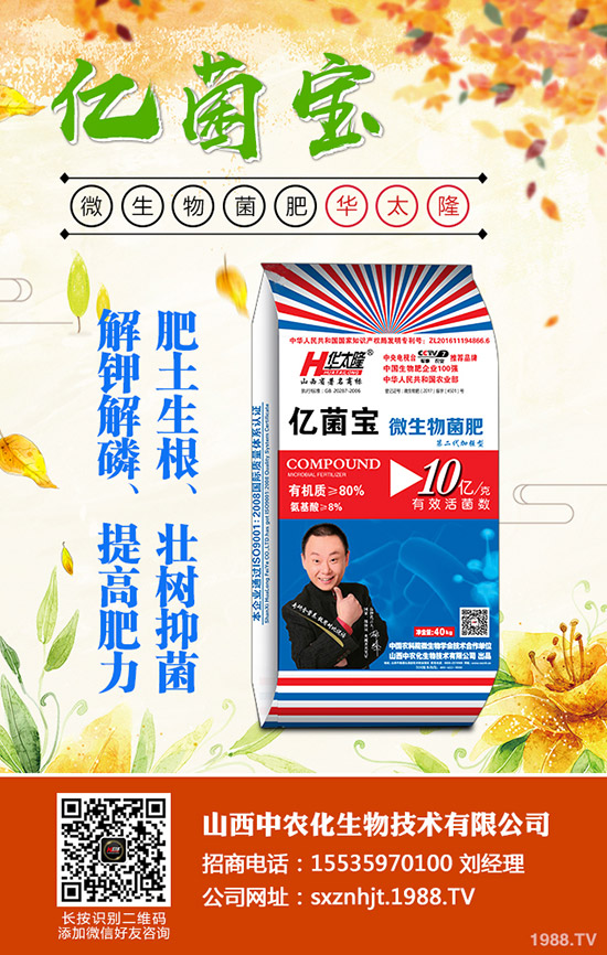     ���@�r(ji��)���Դ�С���»����g��2019��12�µ�������@���������