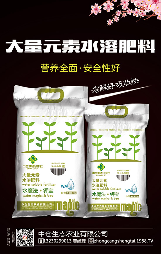     2019��12��28�ս�������(gu��)��(n��i)��(f��)�Ϸʃr(ji��)���߄�(sh��)���������u(p��ng)