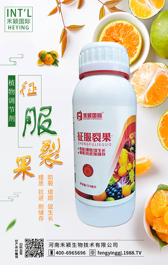 ľ����ʲô�r(sh��)�g�Nֲ��ľ���˷Nֲ������