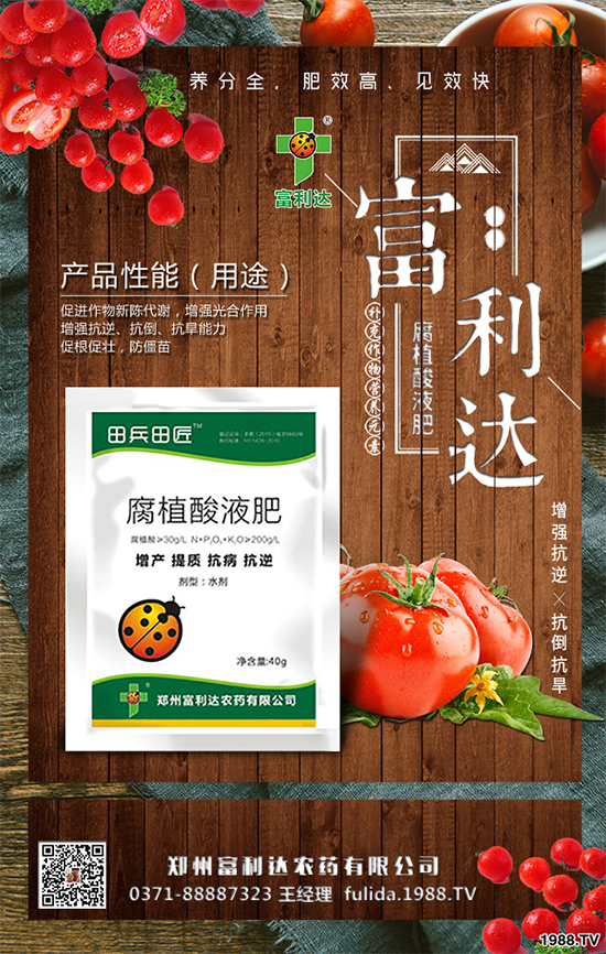 �Nֲʲôˎ����ٍ�X��2020����ˎ�ķNֲǰ������