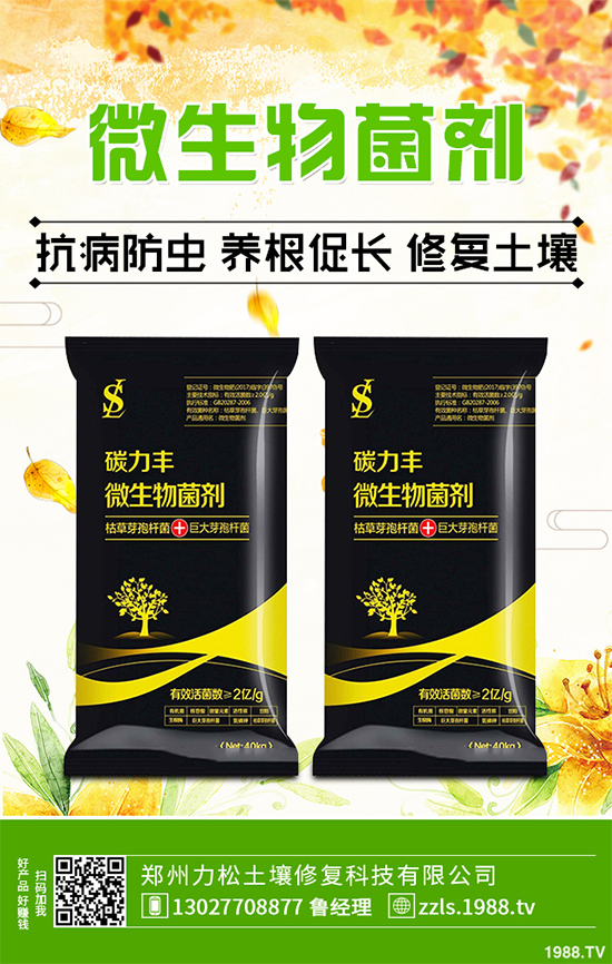 �Nֲʲôˎ����ٍ�X��2020����ˎ�ķNֲǰ������