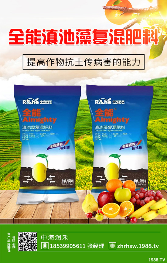 ���r����͸���������Щ�^(q��)�e���ǂ�(g��)Ч�����ã�