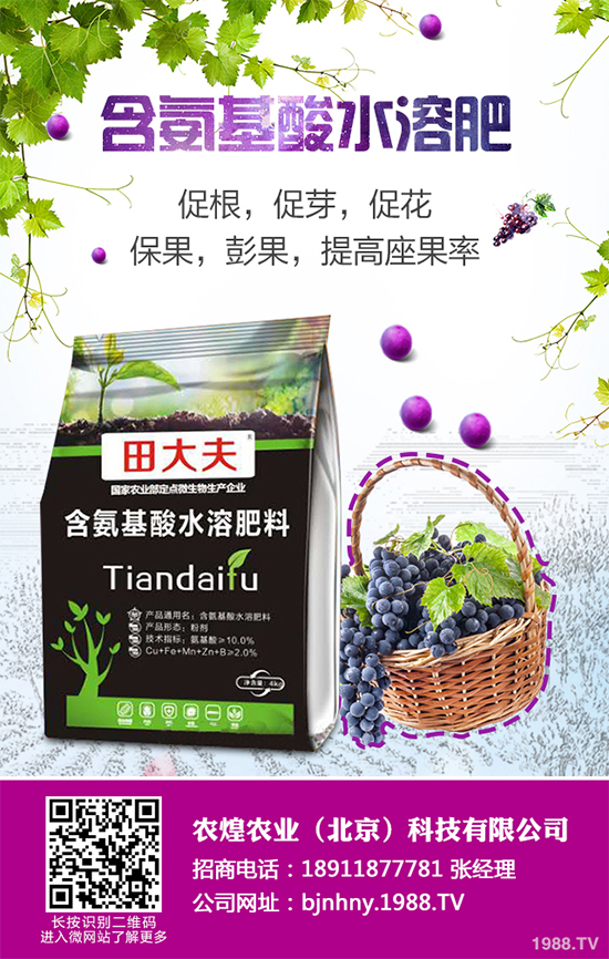 ��ѩ�^�����߲˴�����֪��ԓ��ô�������