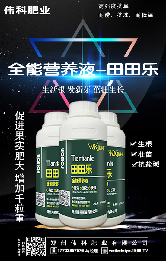     ���ӵĠI�B(y��ng)�r(ji��)ֵ����Щ����Ч�c��������Щ��������Щ��Ⱥʳ�ã�