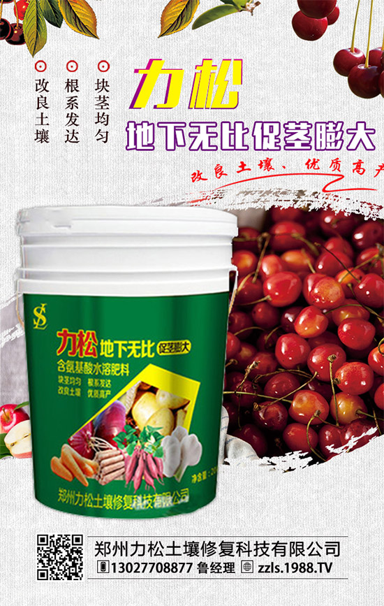     2019-12-4���@�������M(j��n)�������������@�r��������������