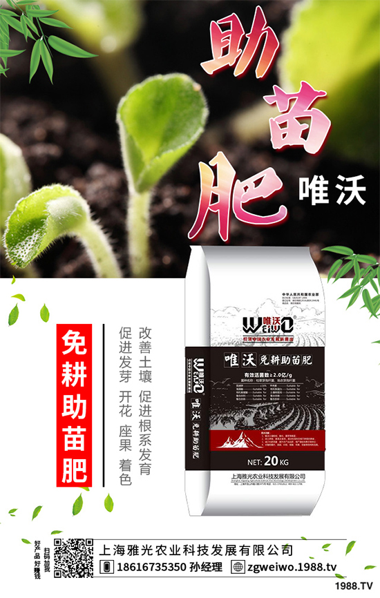     ɽˎʲô�r(sh��)�������ɽˎ���A�ط�������Щ��