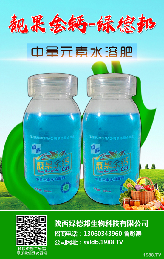 �����߲�����ЩƷ�N�������߲˵ķNֲ�l����ע�����