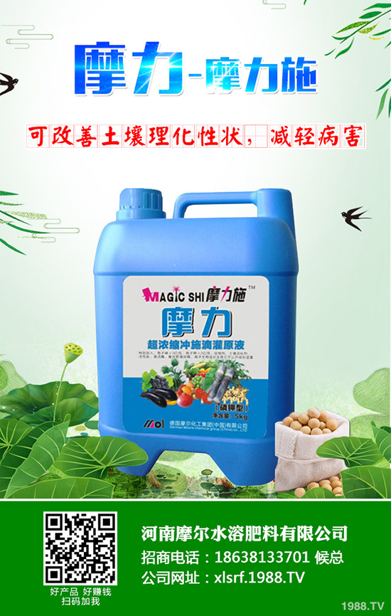 �����ʲô���Ϻ������ʩ�ʼ��g(sh��)����Щ��