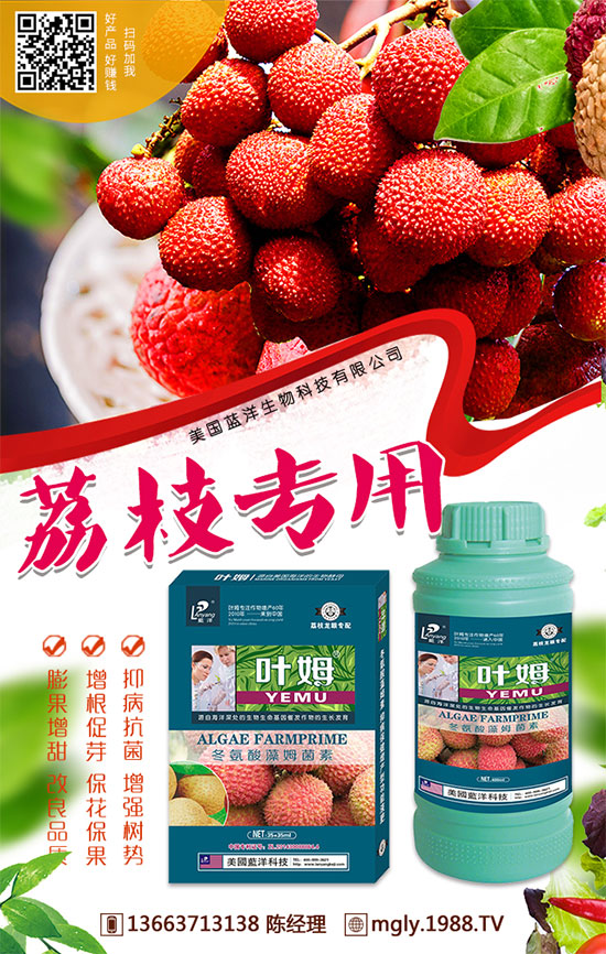 �t�탦�ص��������t�탦������Щ������