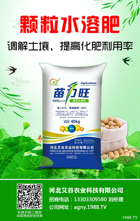 ���Ĳ�����ʩ�ʮa(ch��n)���������Ĳ�ʩ�ʼ�������Щ��