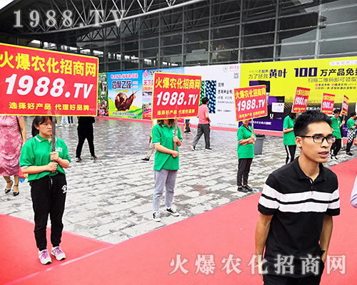     ���r(n��ng)�����̾W(w��ng)��2019�����r(n��ng)�Y�������G�ؼ����ի@�M�M