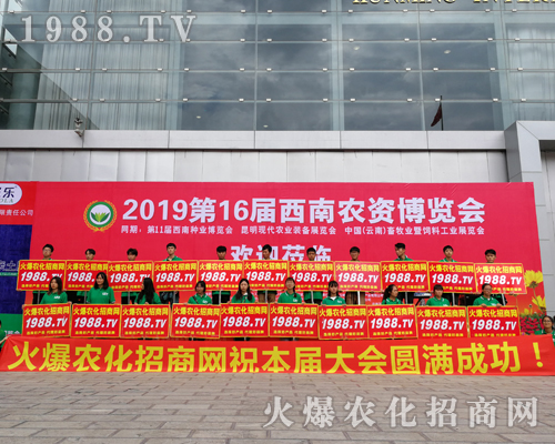     2019�����r(n��ng)�Y���[�������r(n��ng)���W(w��ng)�������o̎����