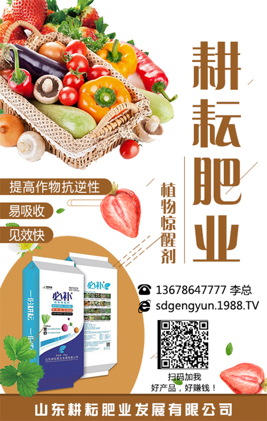 ���؃r(ji��)����m(x��)�»������վֲ��^(q��)�������Ј�(ch��ng)����2019��8��13��