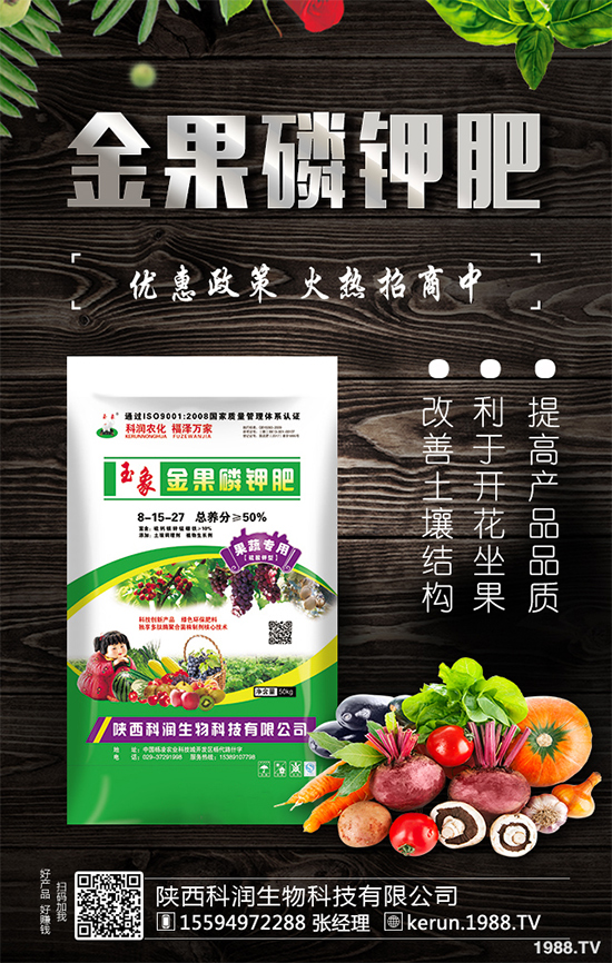 ���؃r����m(x��)�»������վֲ��^(q��)�������Ј�����2019��8��13��