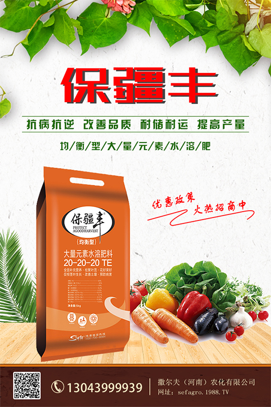 ���؃r����m(x��)�»������վֲ��^(q��)�������Ј�����2019��8��13��