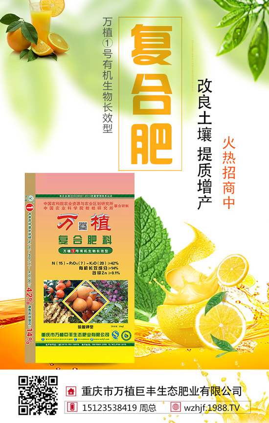 2019��8��22�ս��Շ���(n��i)���؃r(ji��)�������߄��A(y��)�y�C���u��