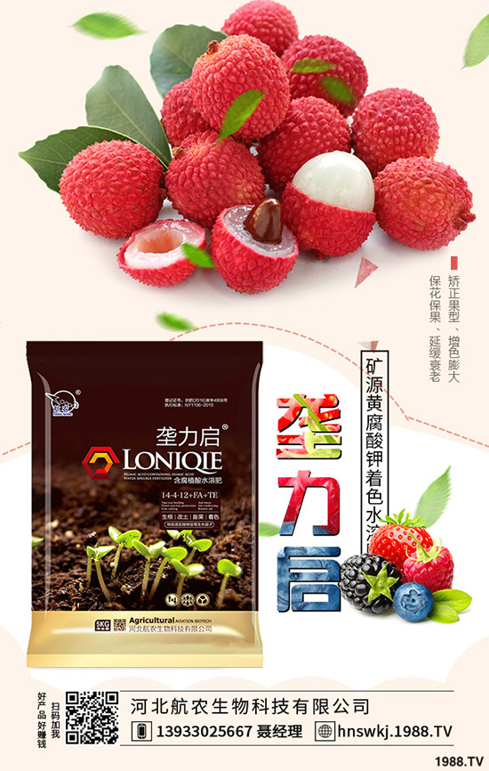 2019��8��22�ս��Շ���(n��i)���؃r(ji��)�������߄��A(y��)�y�C���u��