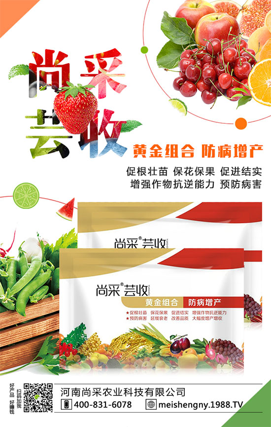 棗樹座果率低的原因是什么呢？棗樹如何提高座果率？