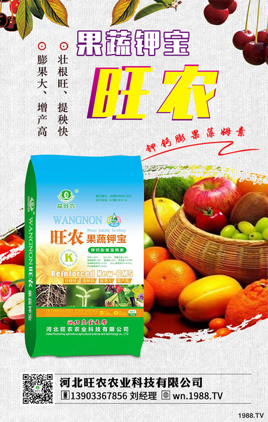 ��������ķNֲ�r(sh��)�g������������������Ҫ�c(di��n)����Щ��