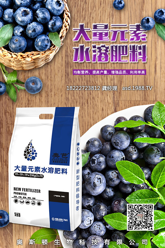 �t���Ĺ�Ч�c��������Щ����Щ�˲��m�ϳԼt����