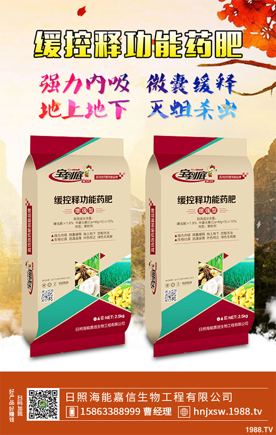 �۲�ԓ��ηNֲ��ע��Щʲô���۲˸߮a(ch��n)�Nֲ����