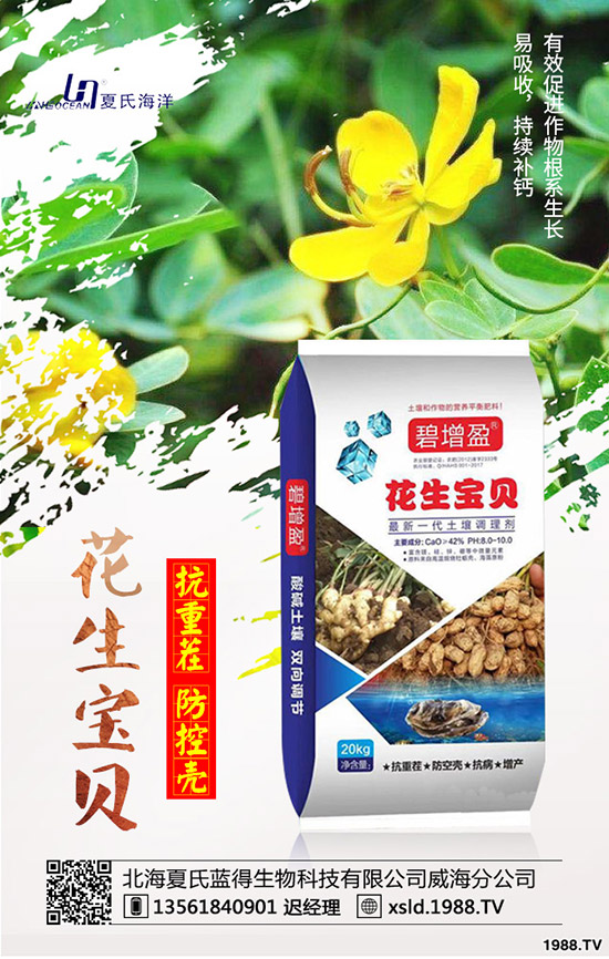 ���{(l��n)���Nǰ����������{(l��n)���߮a(ch��n)�NֲҪ�c(di��n)��