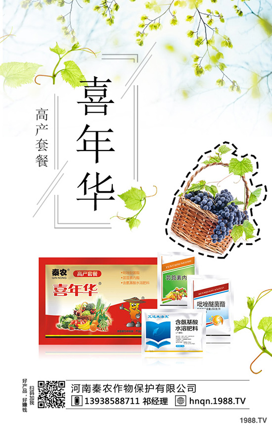 ��(f��)�Ϸʃr��