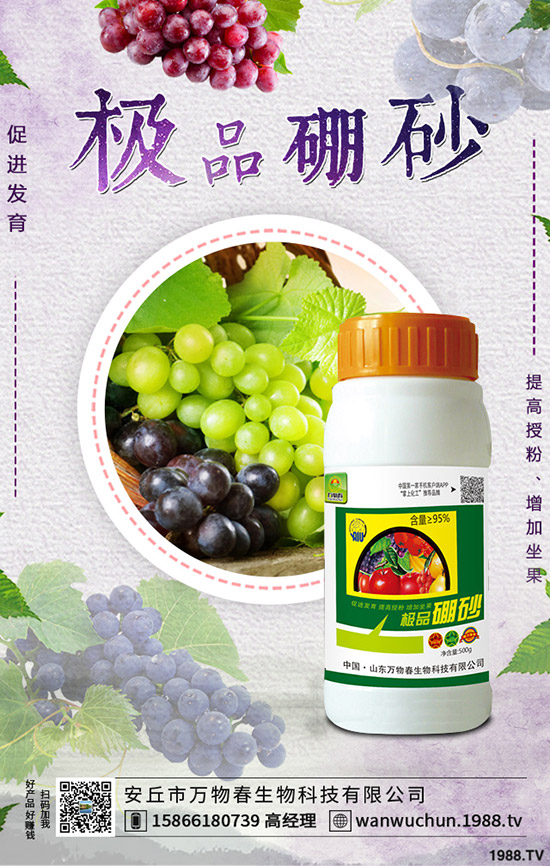 �����ηNֲ����轷Nֲ�l������Щ��